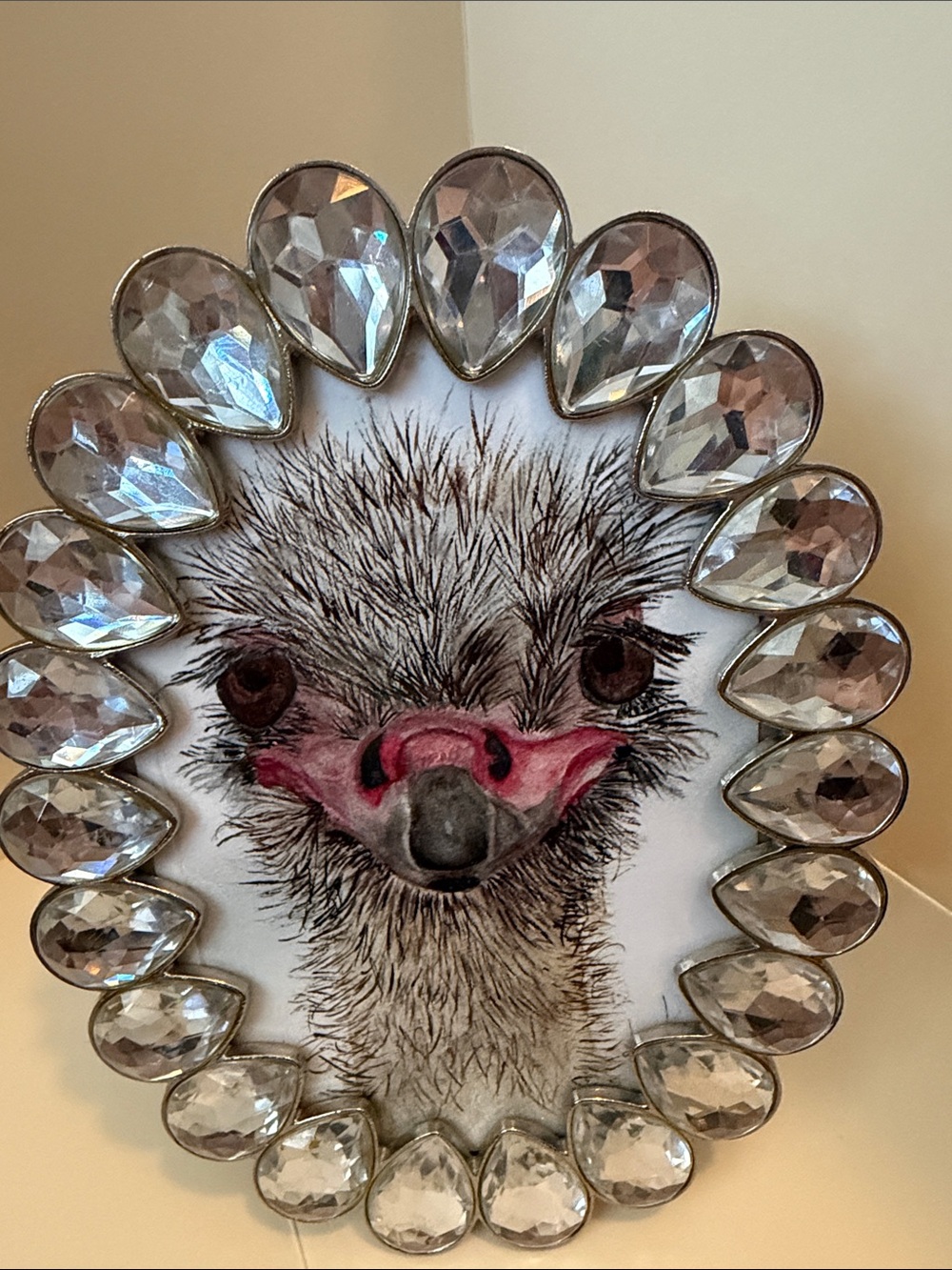 Emu Face Jeweled Photo Frame - Clear Crystal Accents